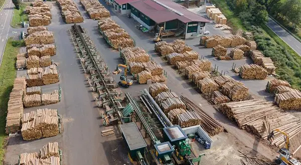 HILO - Holzindustrie Losheim - Gezaagd hout - Pallets - Rondhout